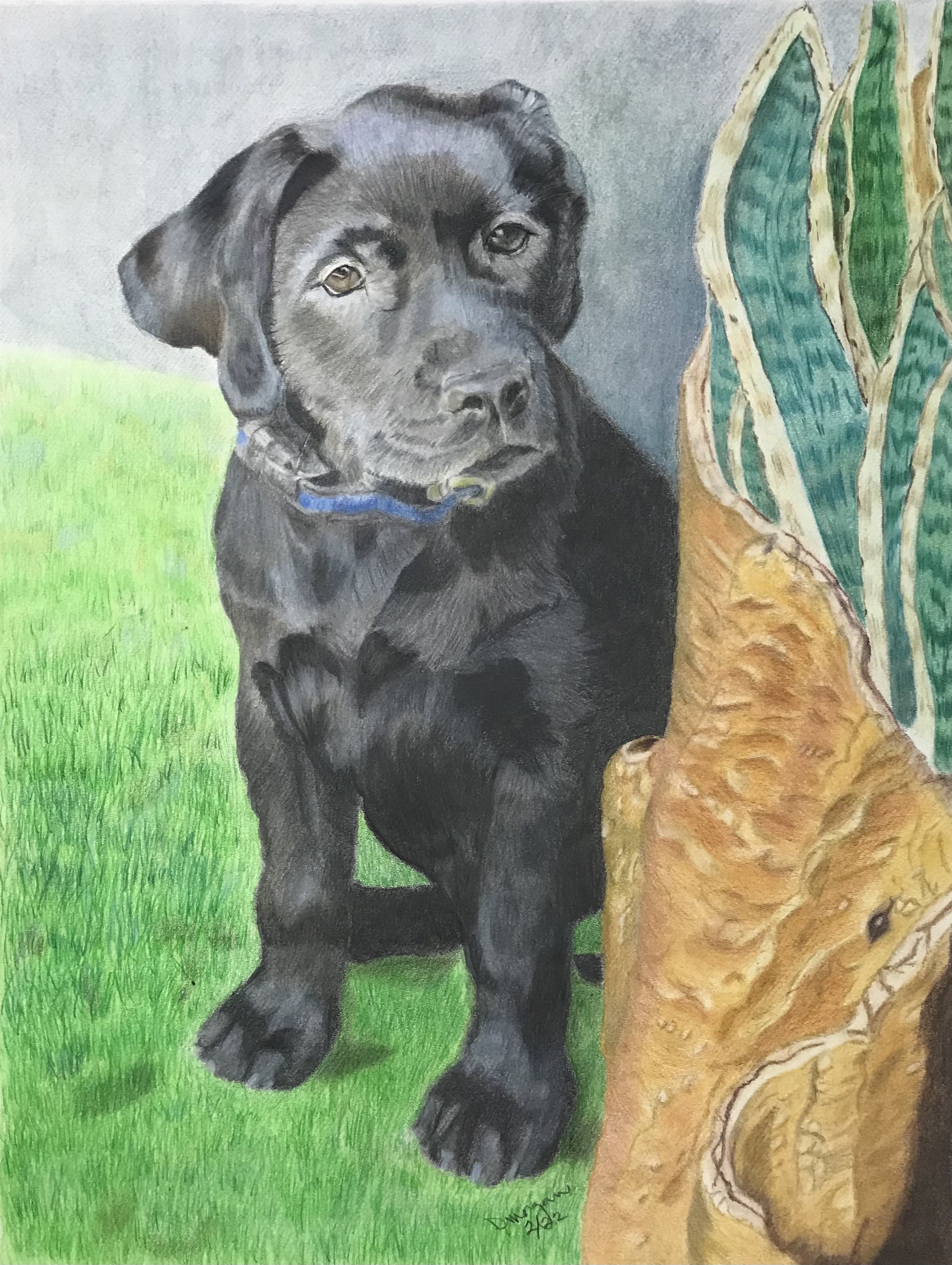 "Goose"
12 x 9
Hot Press Watercolor & OMS