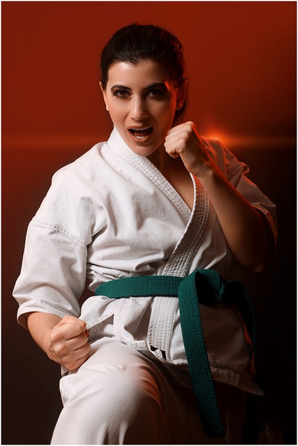 https://0201.nccdn.net/1_2/000/000/140/8e0/karate-4962665_640.jpg