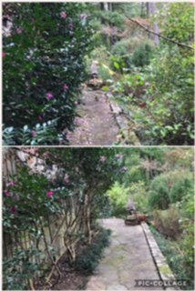 Walkway trimmed back neatly