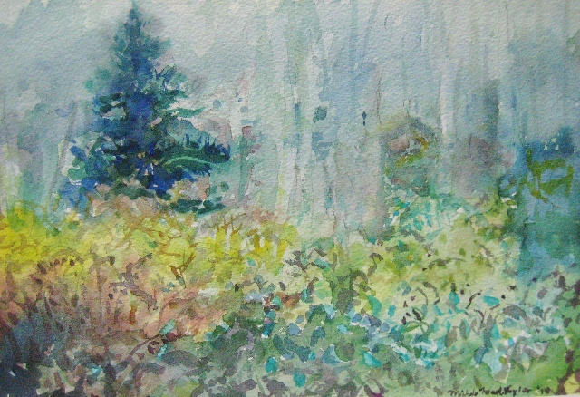 Taylor, Brambles in the Mist, 8x12, WC