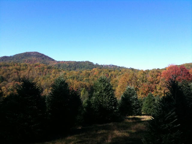 Surrounding mountains full of fall color. If you look closely you can see the townhomes in Echota on the ridge.