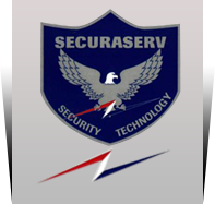 securaserv.com