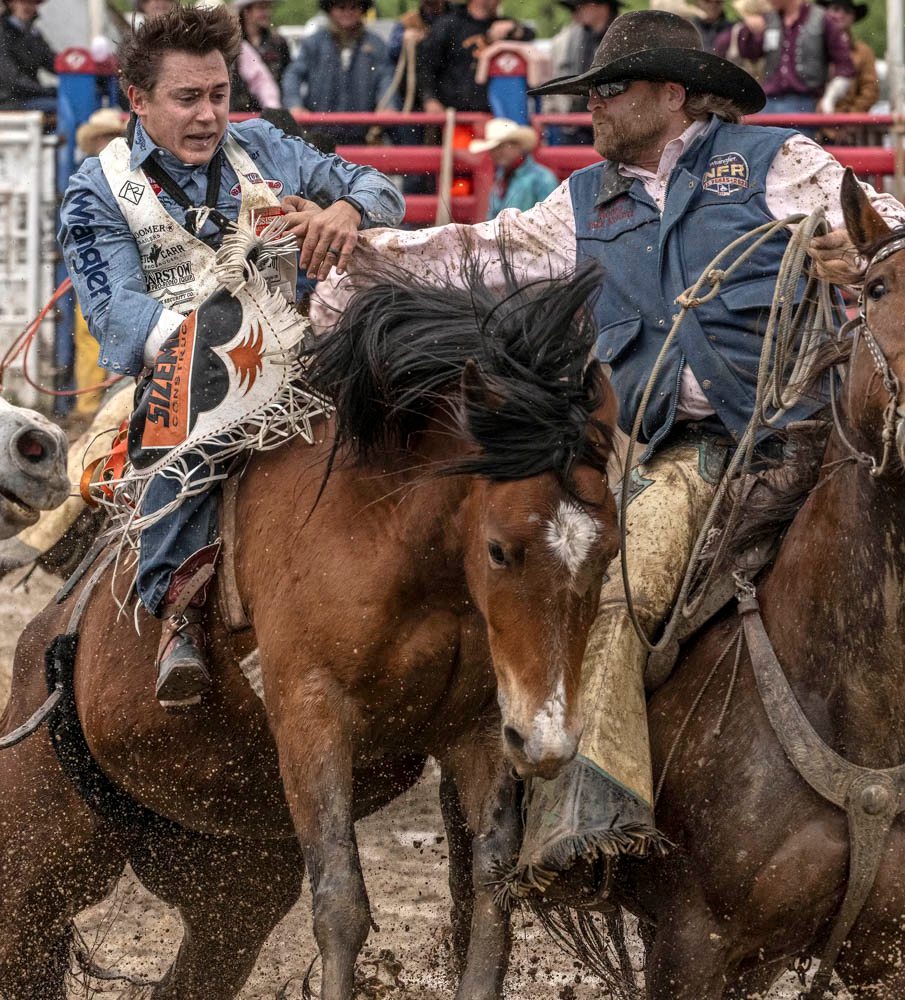 woman in pink shirt riding brown horse during daytime