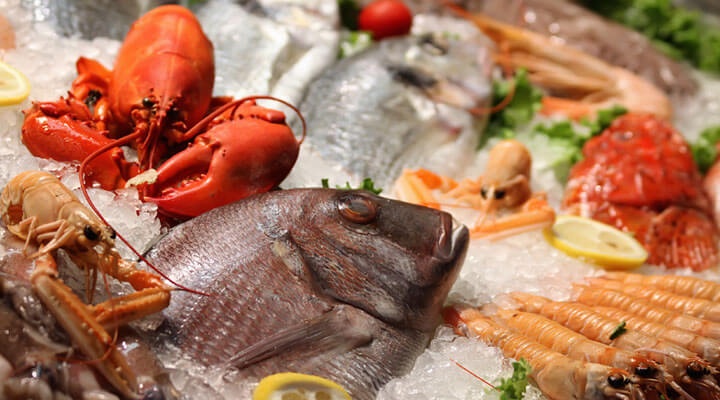 ALIMENTOS Y CONGELADOS SAN MIGUEL - PRODUCTOS DEL MAR