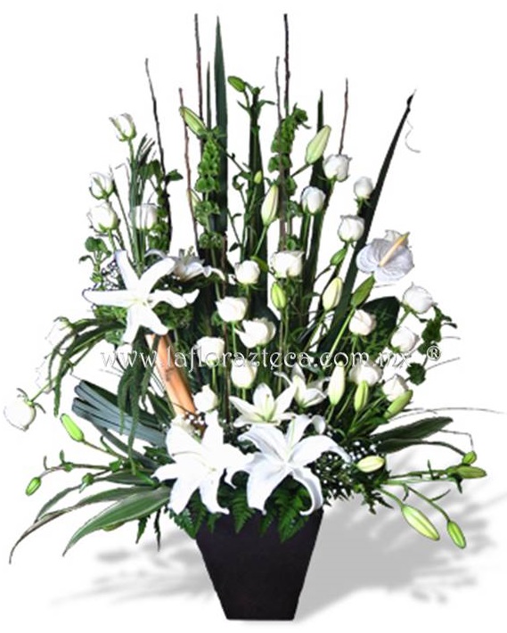 LFA-W013
Precio $1,990