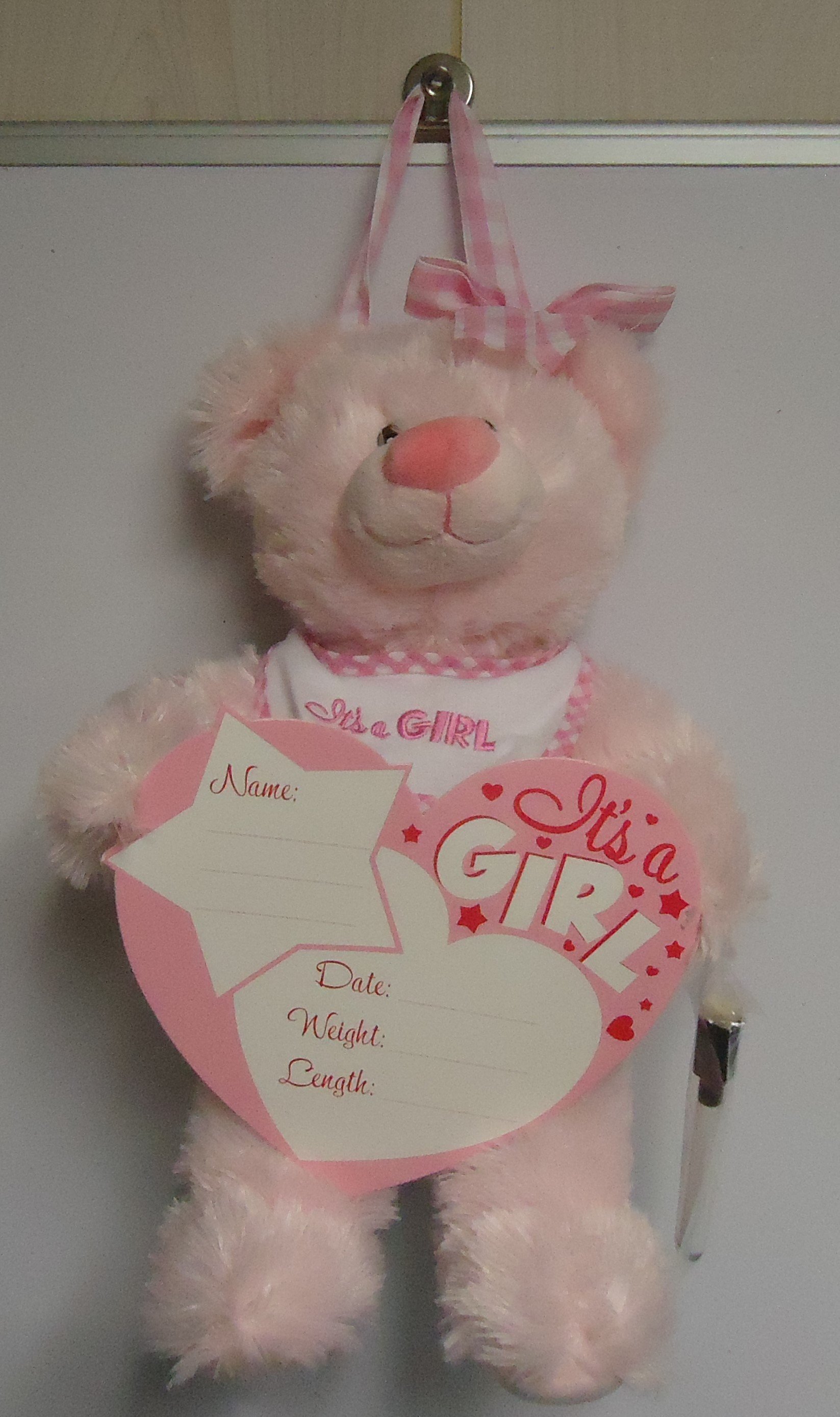(12A) "Baby Girl" Bear Door Hanger
$25.00
