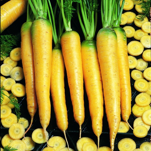 Carrot Yellowstone Carrot Yellowstone