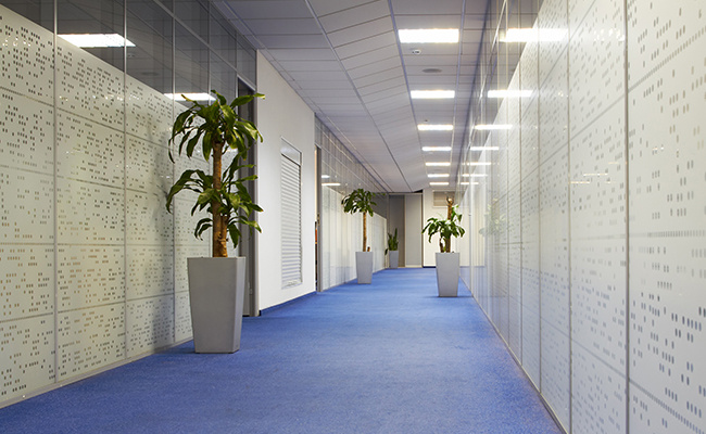 Classical Office Interior