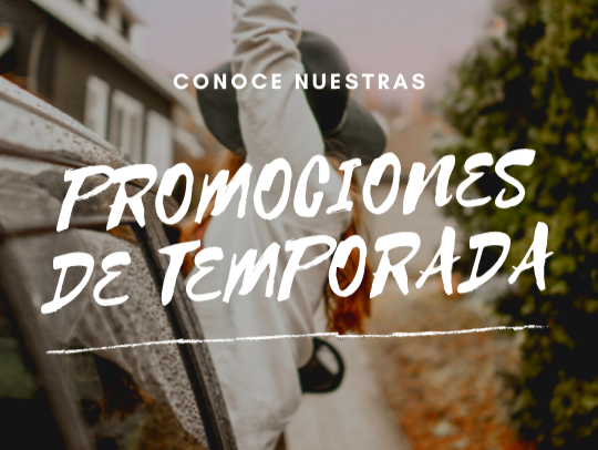 https://0201.nccdn.net/1_2/000/000/142/60c/promociones-de-temporada.png