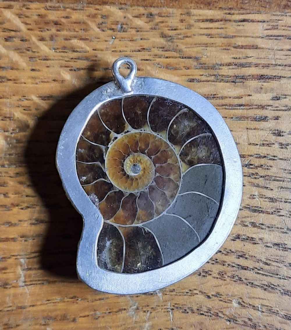 JPn001-02b Ammonite and Amethyst  set in Sterling