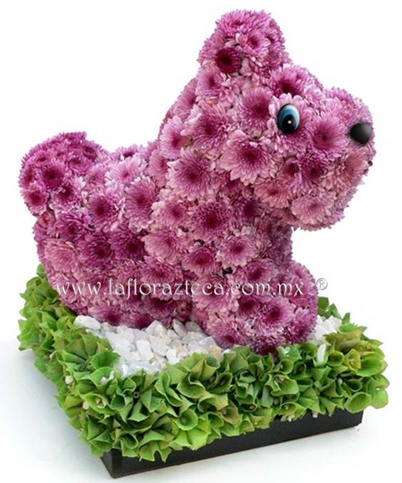 LFA-FF017
Precio $980