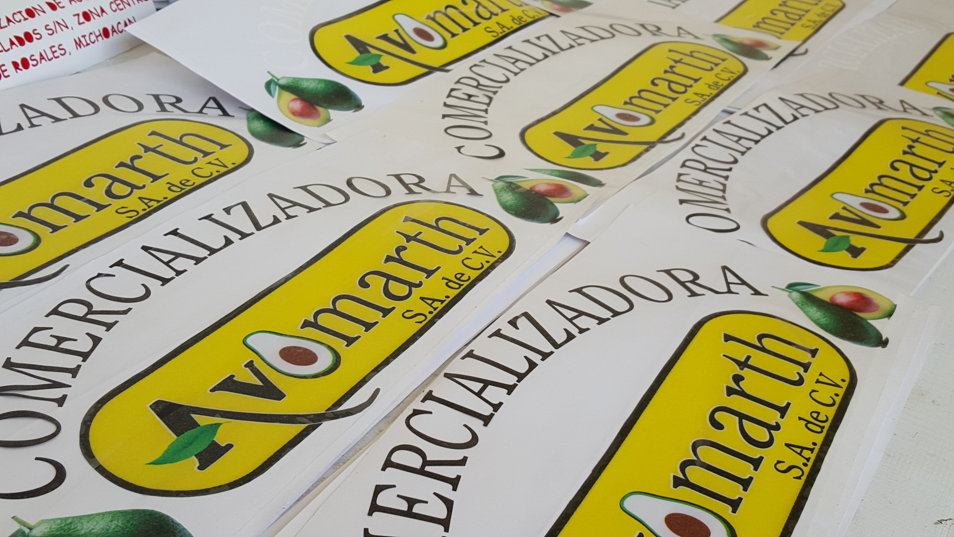 Young dark haired woman