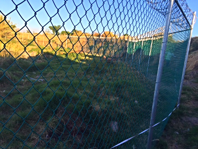 Malla ciclónica con cobertura plástica pvc.