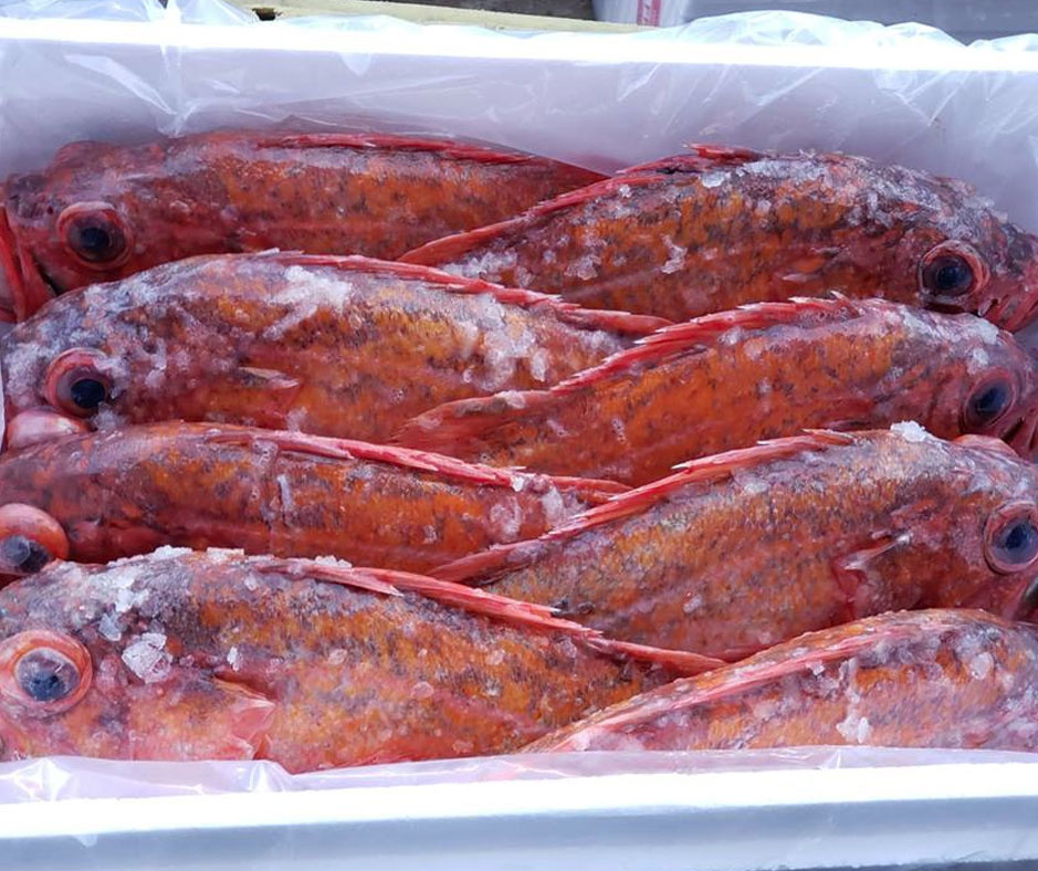 Kun Products Baja California - Pescados