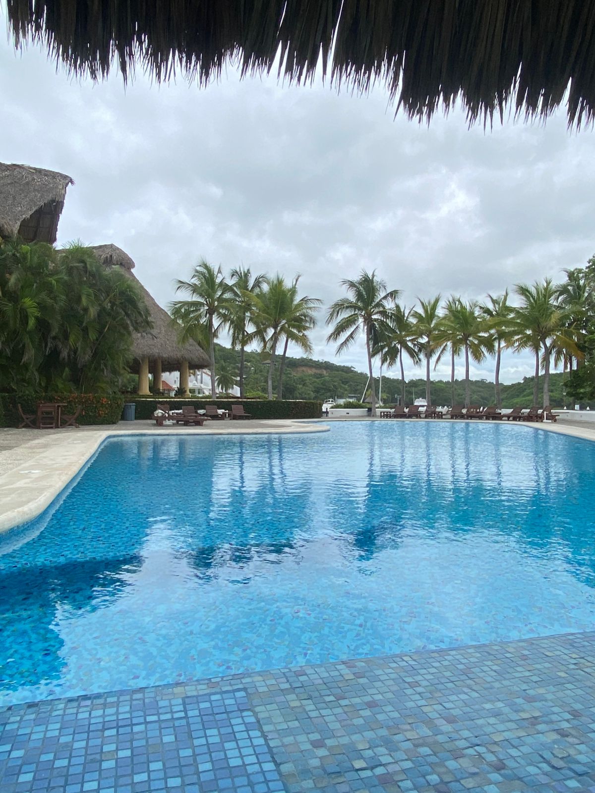 Carteles de venta de bienes raíces en corredor con plantas en macetas y ventanales.