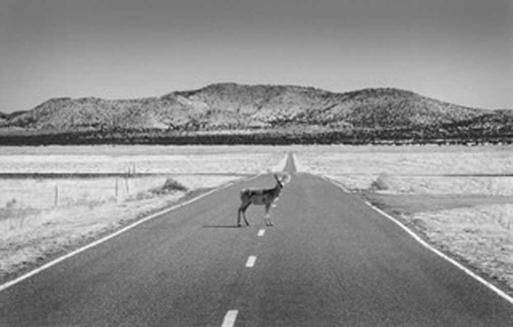 Are You Lookin' At Me?