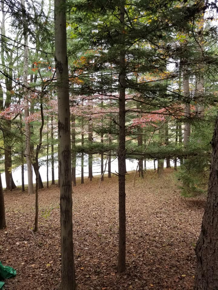 View of upper pond from campsites