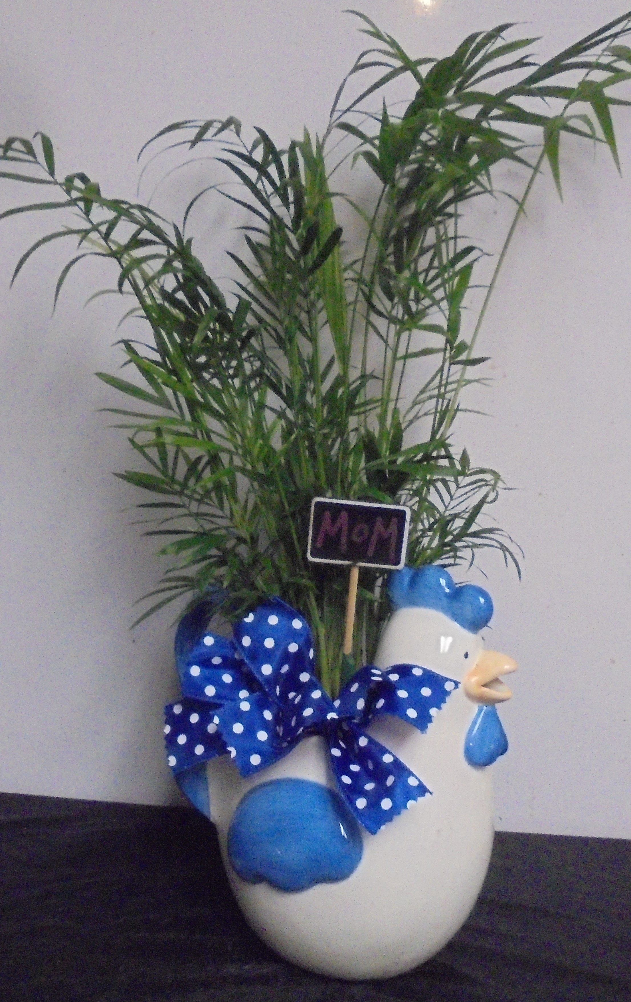 (28)  "Palm" Plant In
"Chicken" Pitcher
$40.00