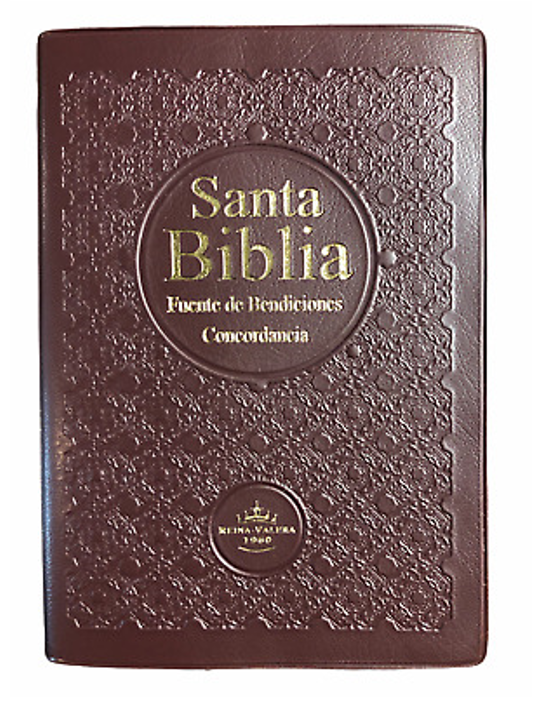 https://0201.nccdn.net/1_2/000/000/143/fce/biblia-vinil-vino1.png