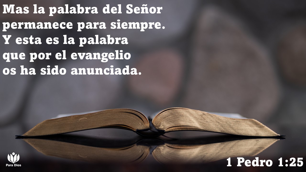 https://0201.nccdn.net/1_2/000/000/144/049/slide6.jpg