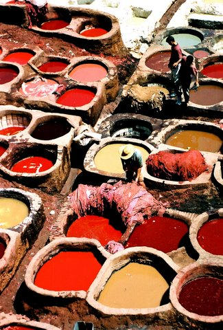 "Amazing Places" - Fez Morocco - as you walk through Fez you feel like you have stepped back in time 1000 years. These poor souls worked at the tannery in Fez.