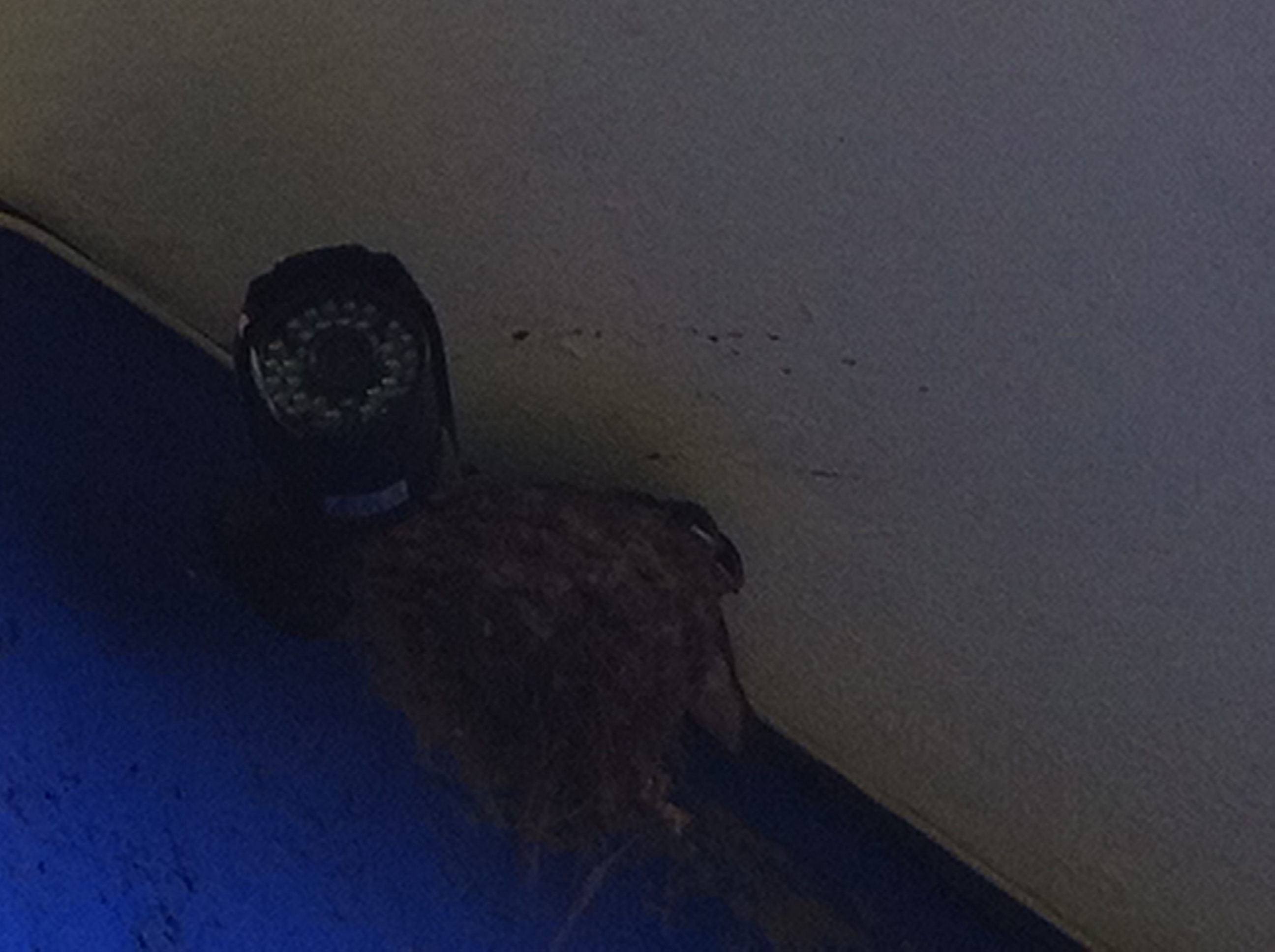 Coloque el título aquí