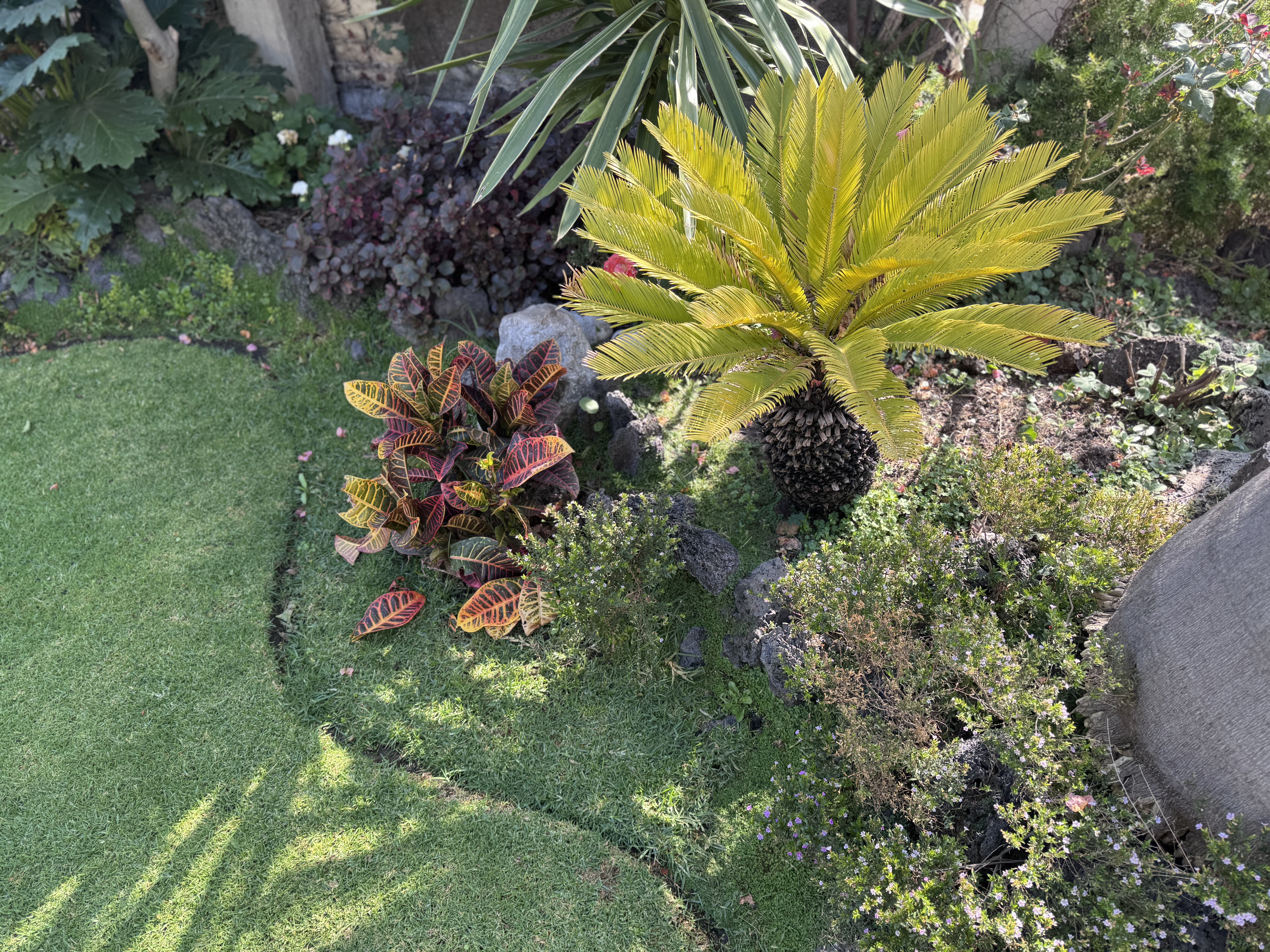 Fuente de piedra en un jardín con pared de piedra y plantas decorativas