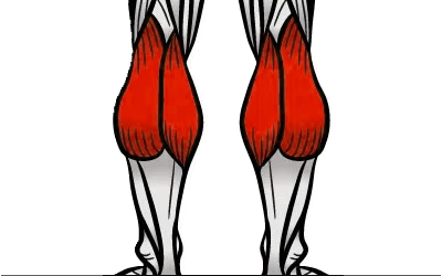 Calf Exercises