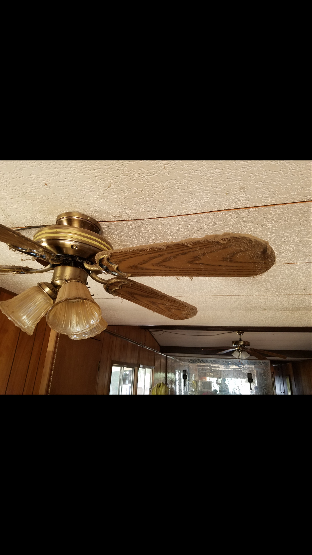 Before Clean-up 10