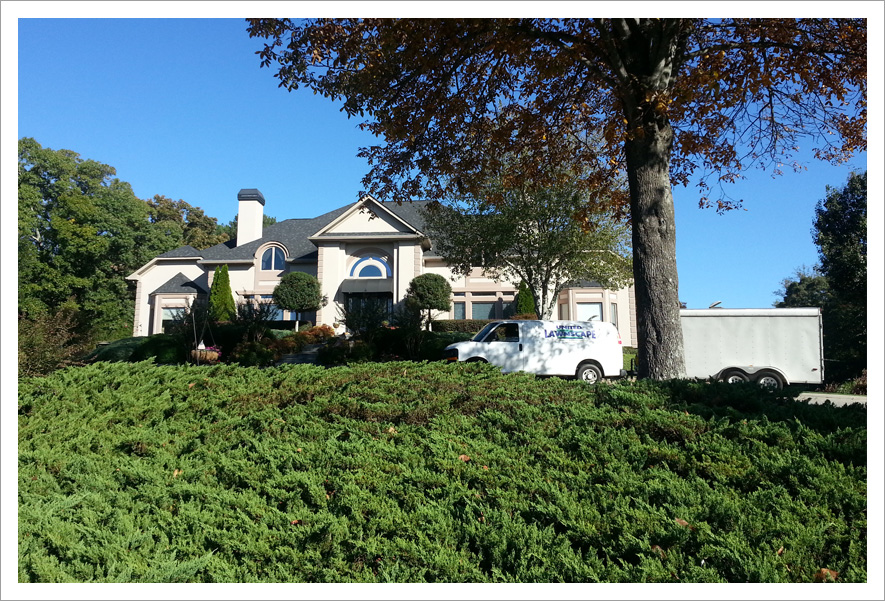 Thick bushes hug house van||||