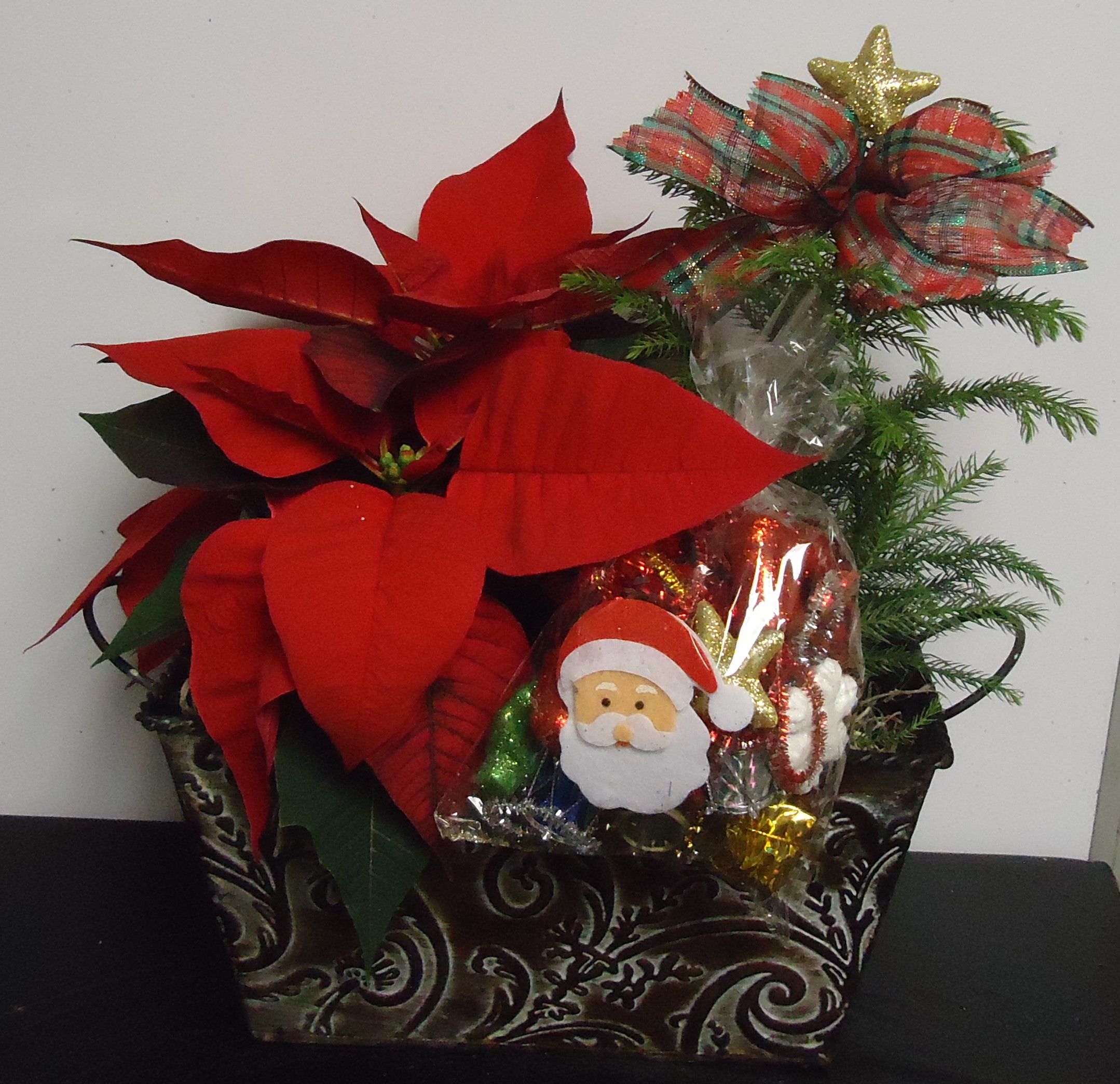 (1) Double Planter
W/ Poinsettia & Pine Tree
(You Can Decorate)
$35.00