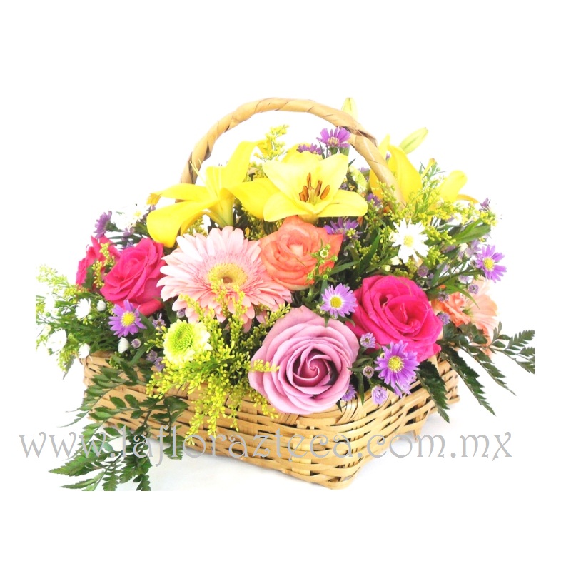 Mom - 111
Precio $1180