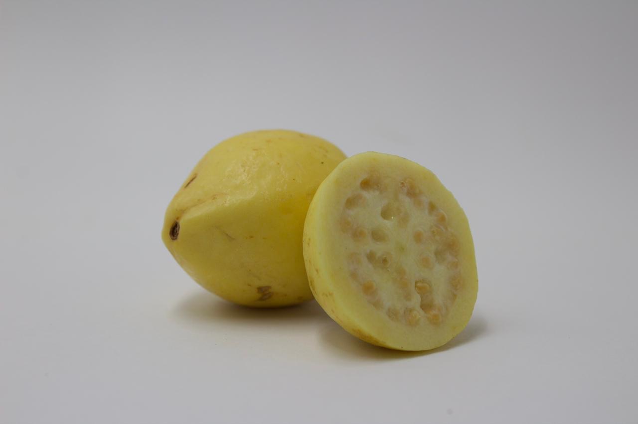 GUAYABA