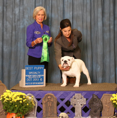 Reed Best Puppy In Specialty 6 months