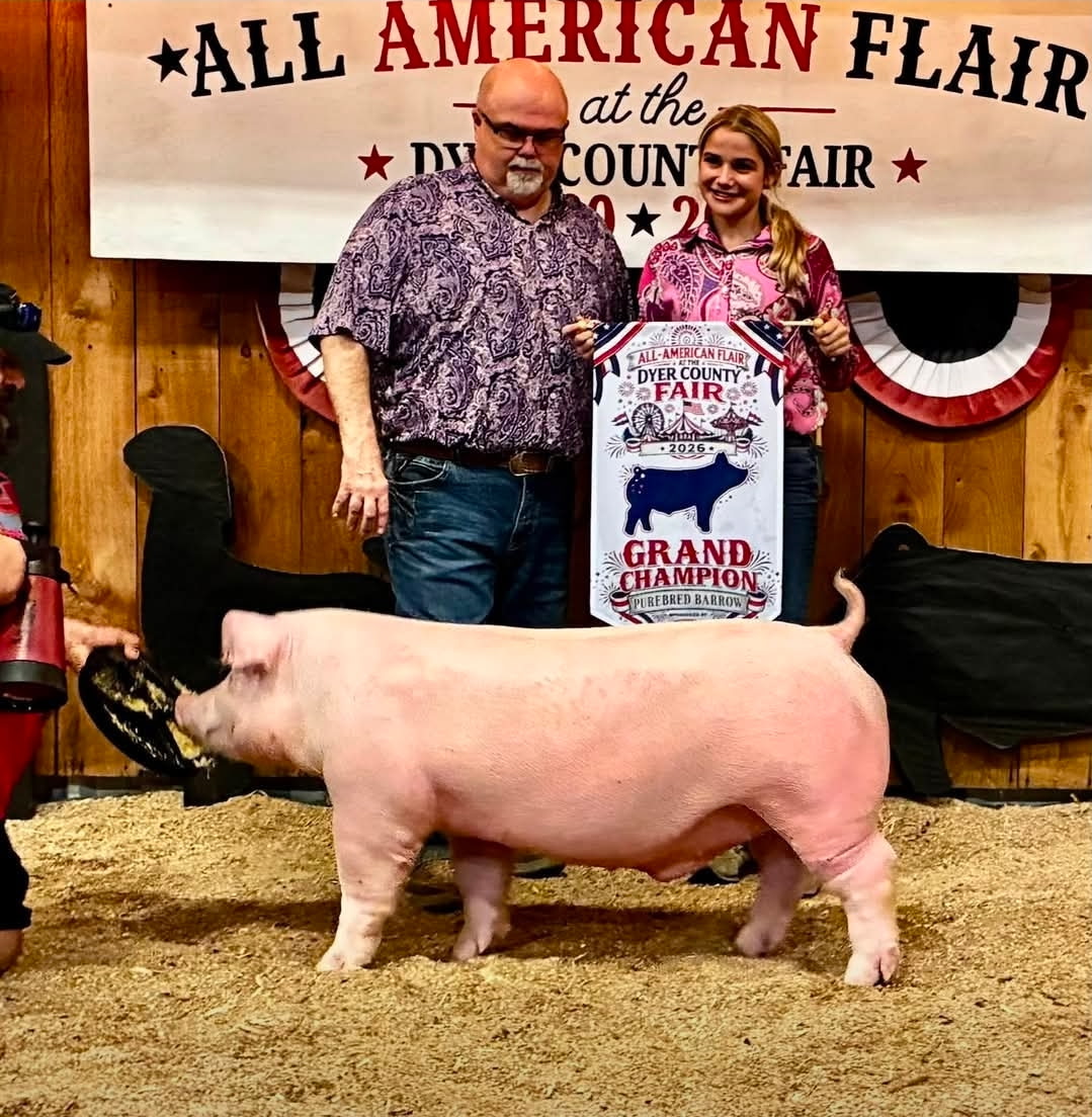 Cara Roach
2026 Dyer County Fair
Champion Purebred Barrow