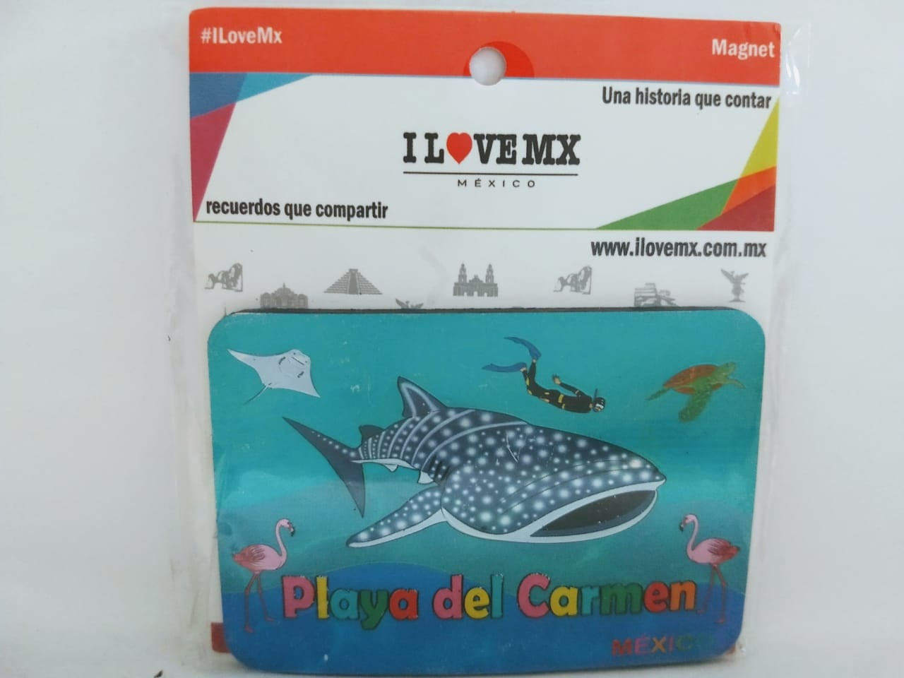 IMÁN METALIZADO
PLAYA DEL CARMEN
8cm Ancho
5.6cm Alto