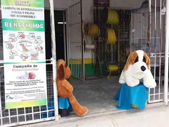 Forrajera y Veterinaria "Ortiz" - EXCELENTES INSTALACIONES