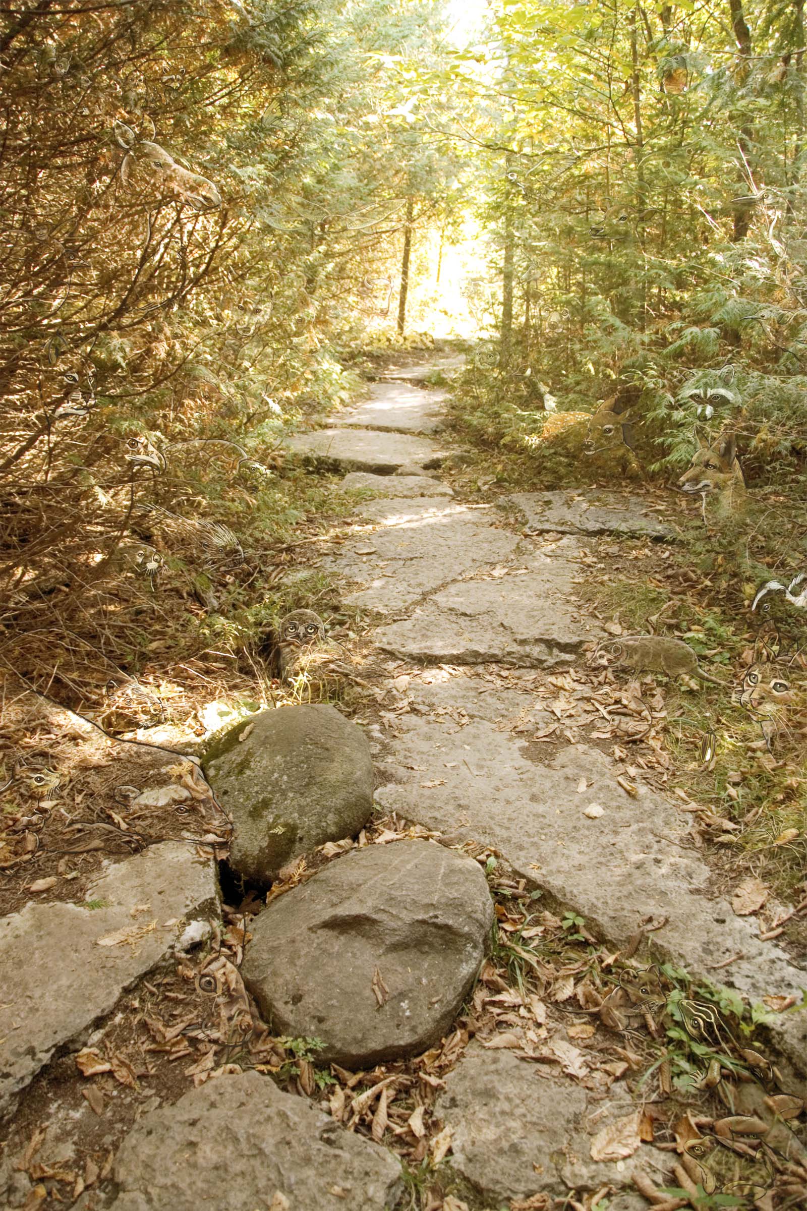 Spirit Path - Full Image