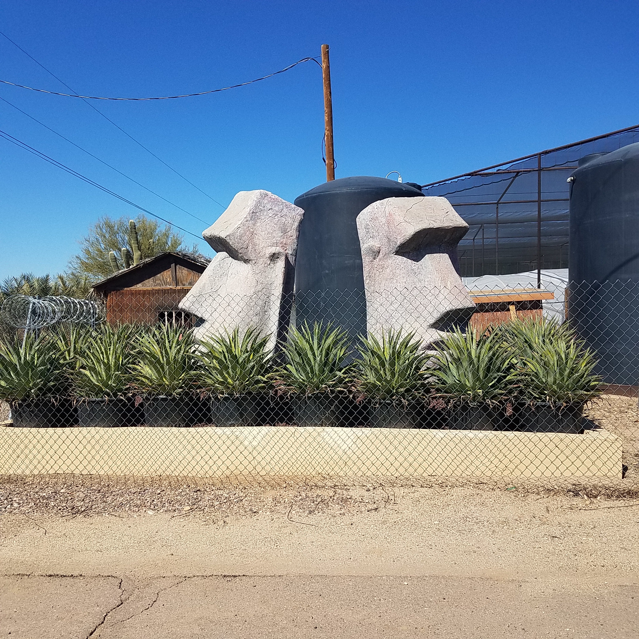 Pacific Palms Nursery Home