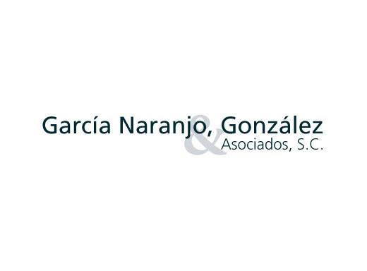 GARCIA NARANJO GONZALEZ Y ASOCIADOS SC