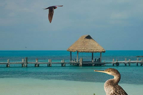 VIAJA AL PARAÍSO Y OLVIDA TODO...¡¡¡