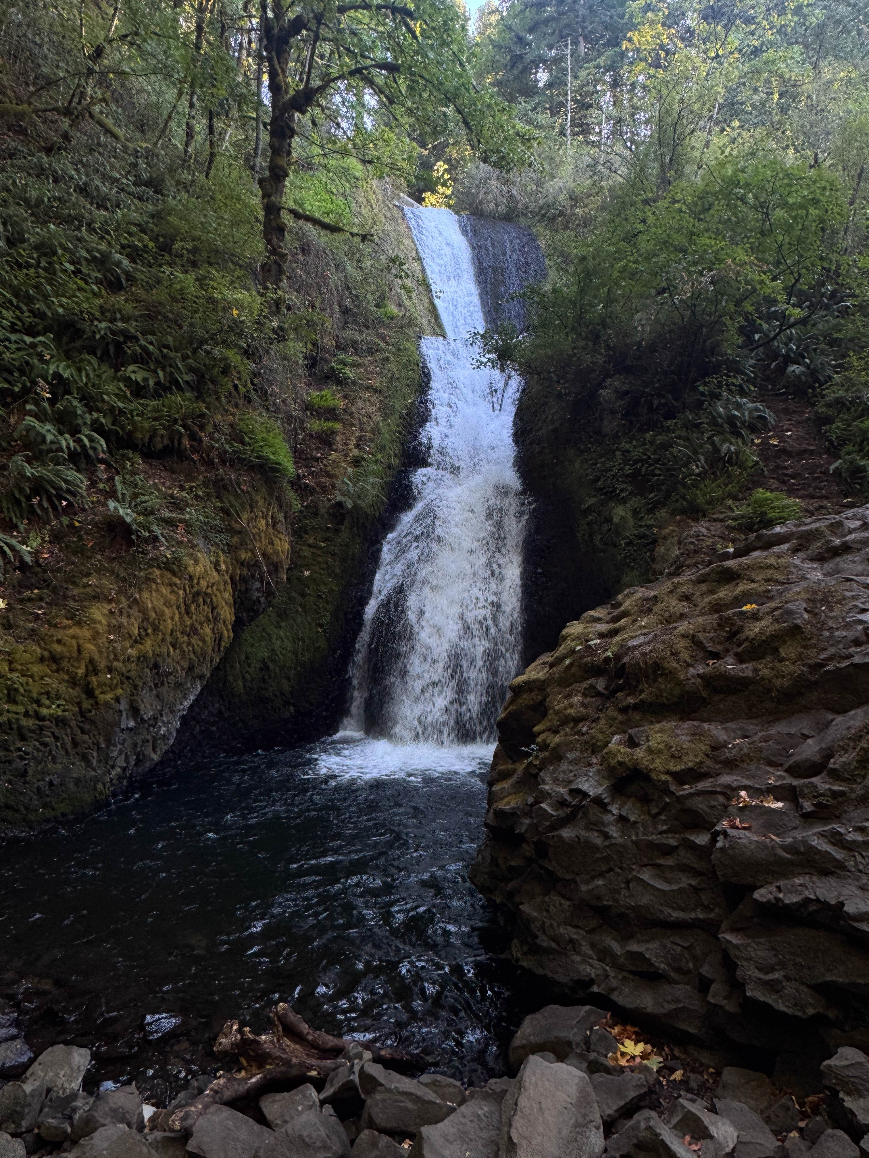 https://0201.nccdn.net/1_2/000/000/147/d6c/portland-order-12.jpg