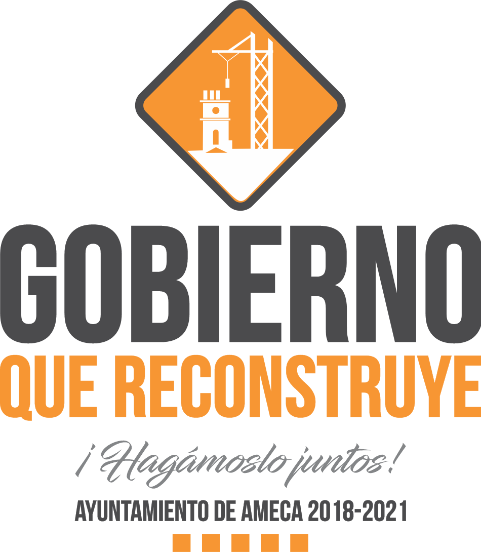 https://0201.nccdn.net/1_2/000/000/148/433/gobierno.png