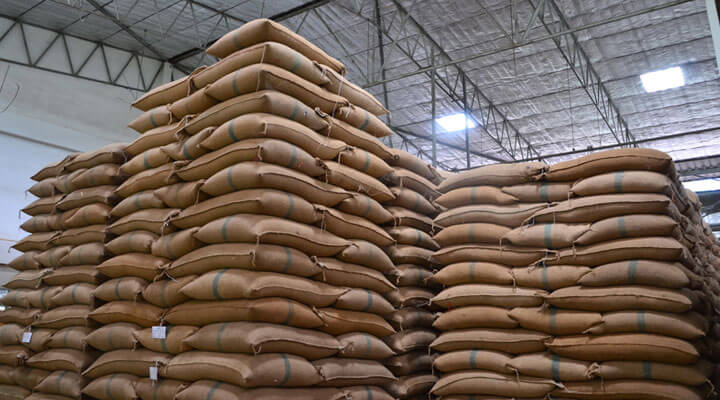 Geyser - FERTILIZANTES