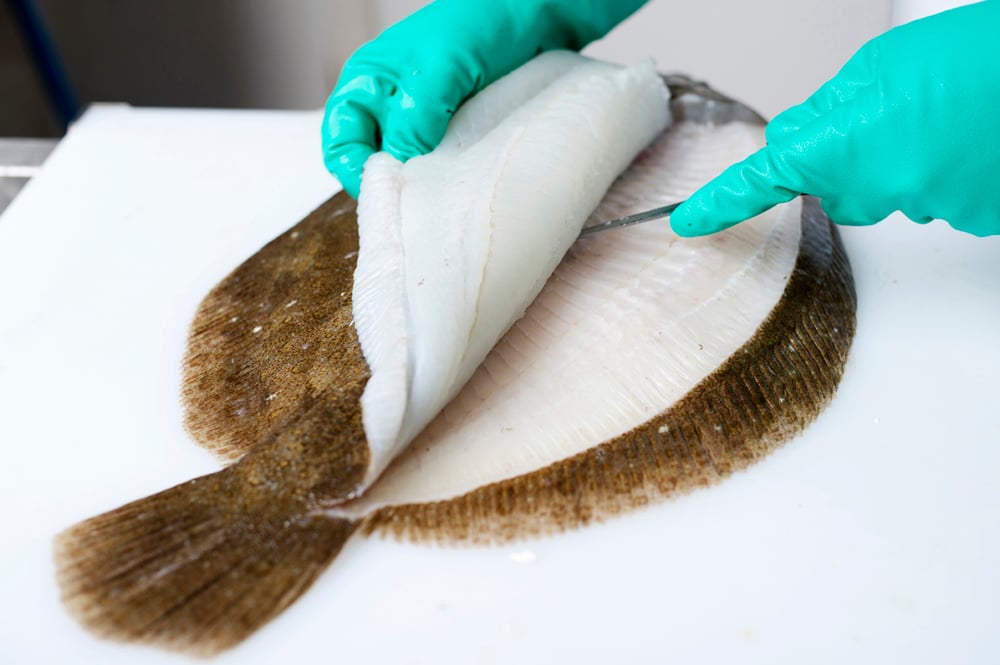 Chef preparing fresh tuna in a professional kitchen