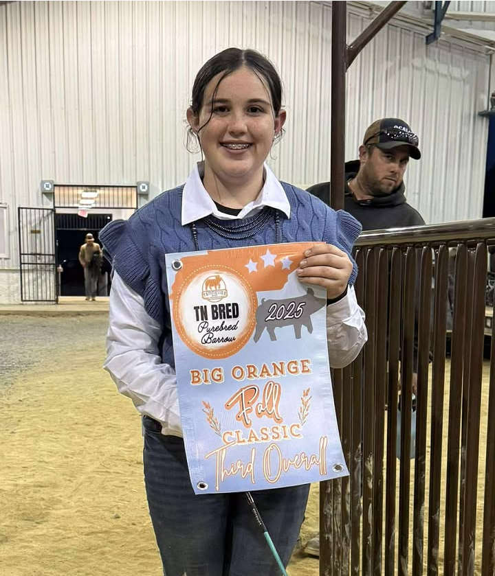 Kinley Porter
2025 Big Orange Fall Classic
3rd Overall Purebred Barrow