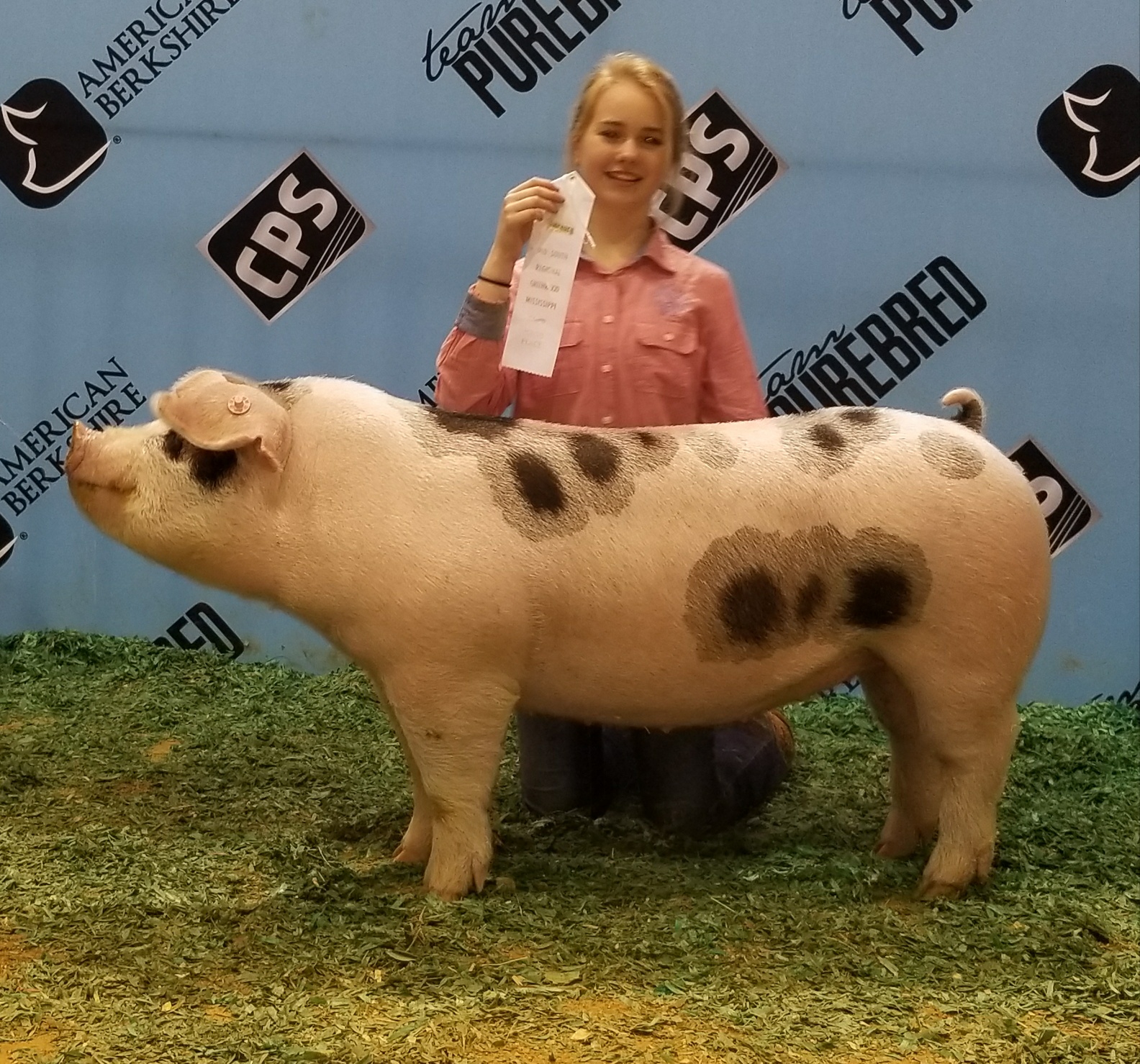 Hannah Sanders
2018 Mid-South Team Purebred Show
Greenwood, MS
3rd in Spot Gilt Class