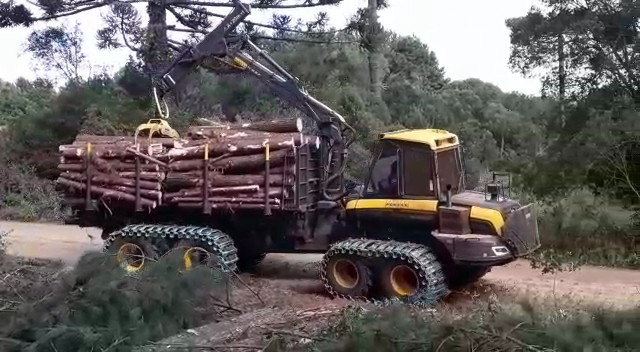                                                         CARREGAMENTO FORWARD