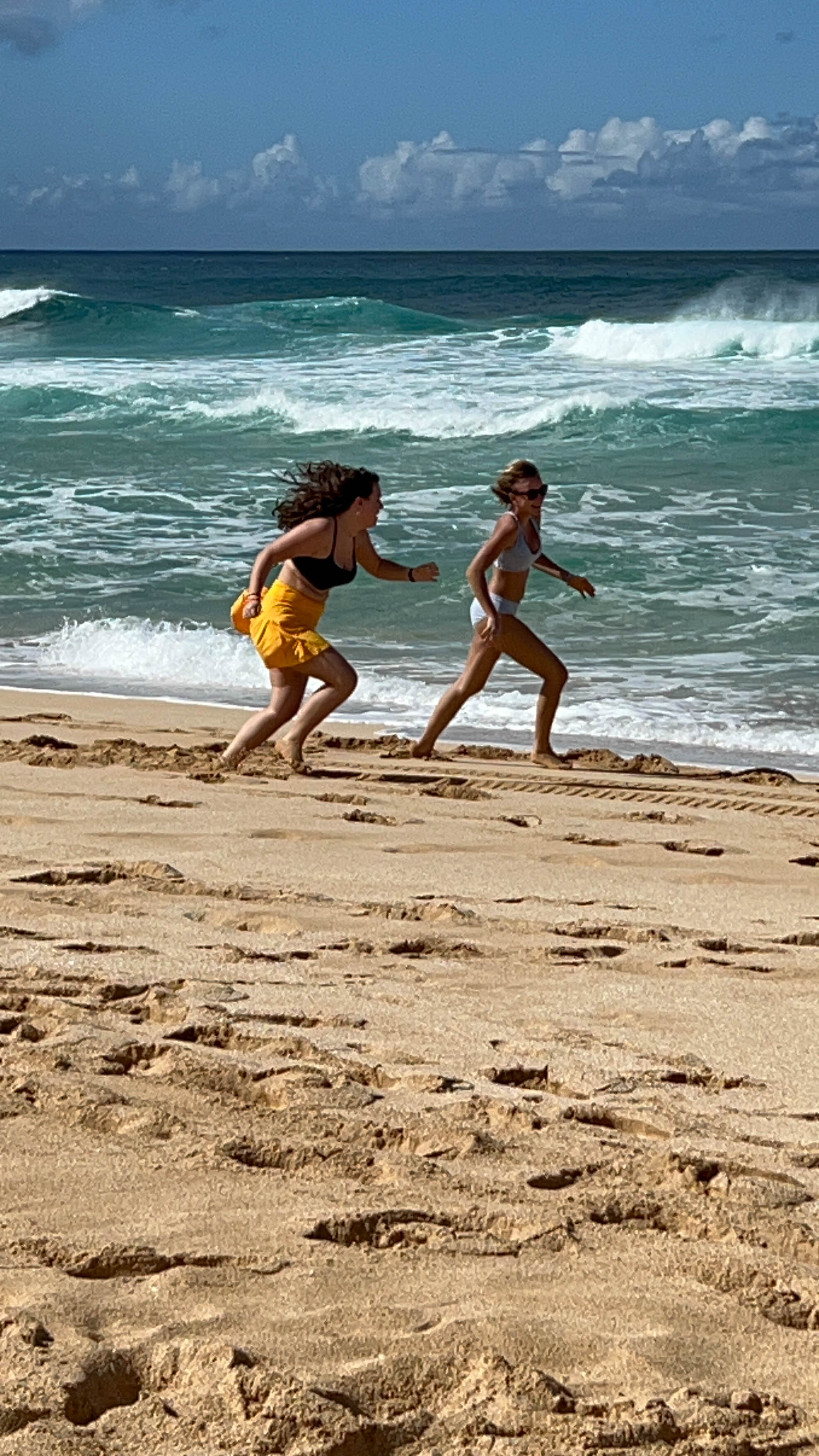 https://0201.nccdn.net/1_2/000/000/149/561/hawaii-order-54.jpg