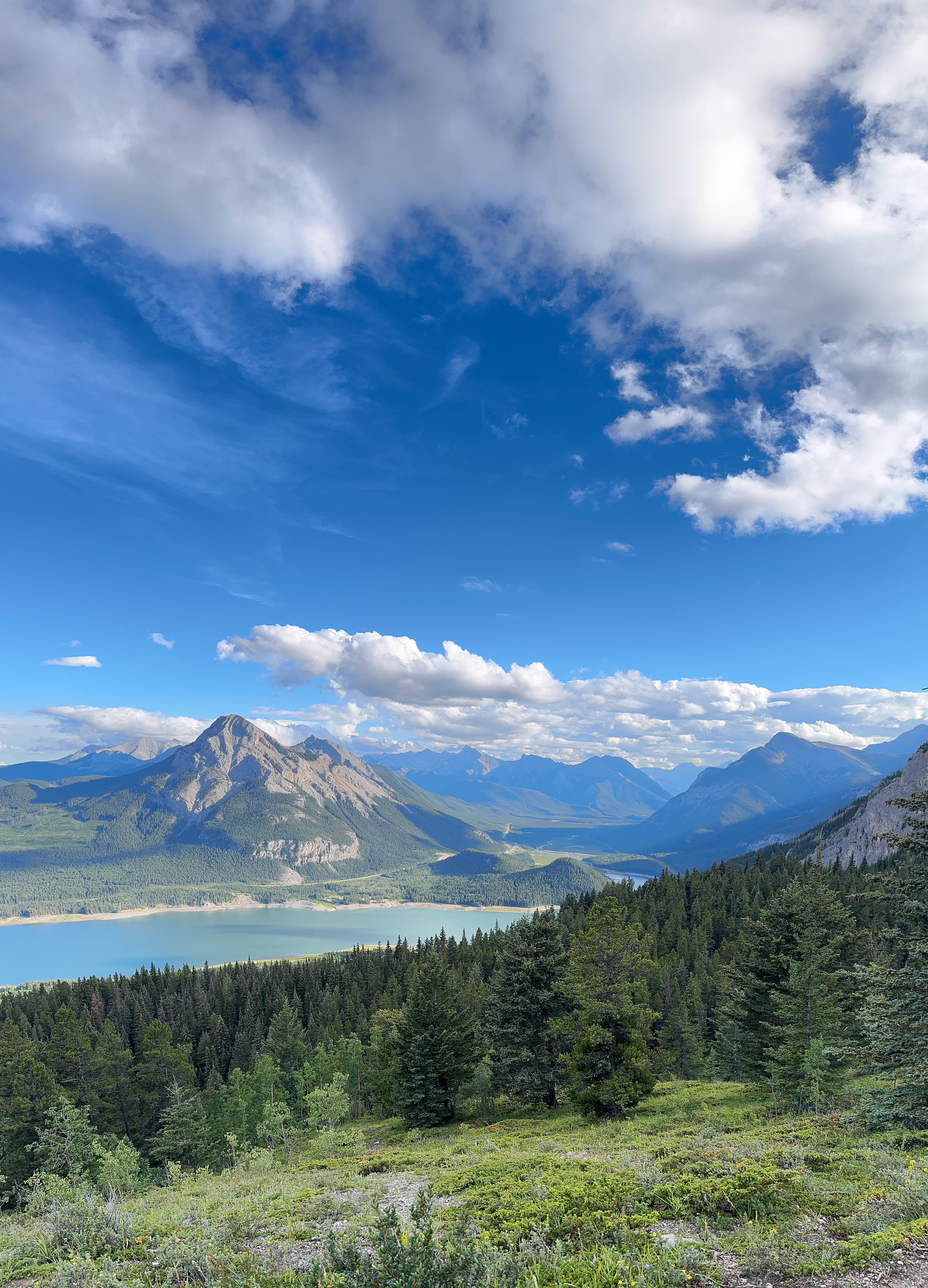 https://0201.nccdn.net/1_2/000/000/149/b44/calgary-order-13.jpg